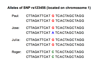 alleles table