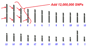 genome view with SNPs