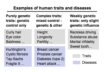 table of traits